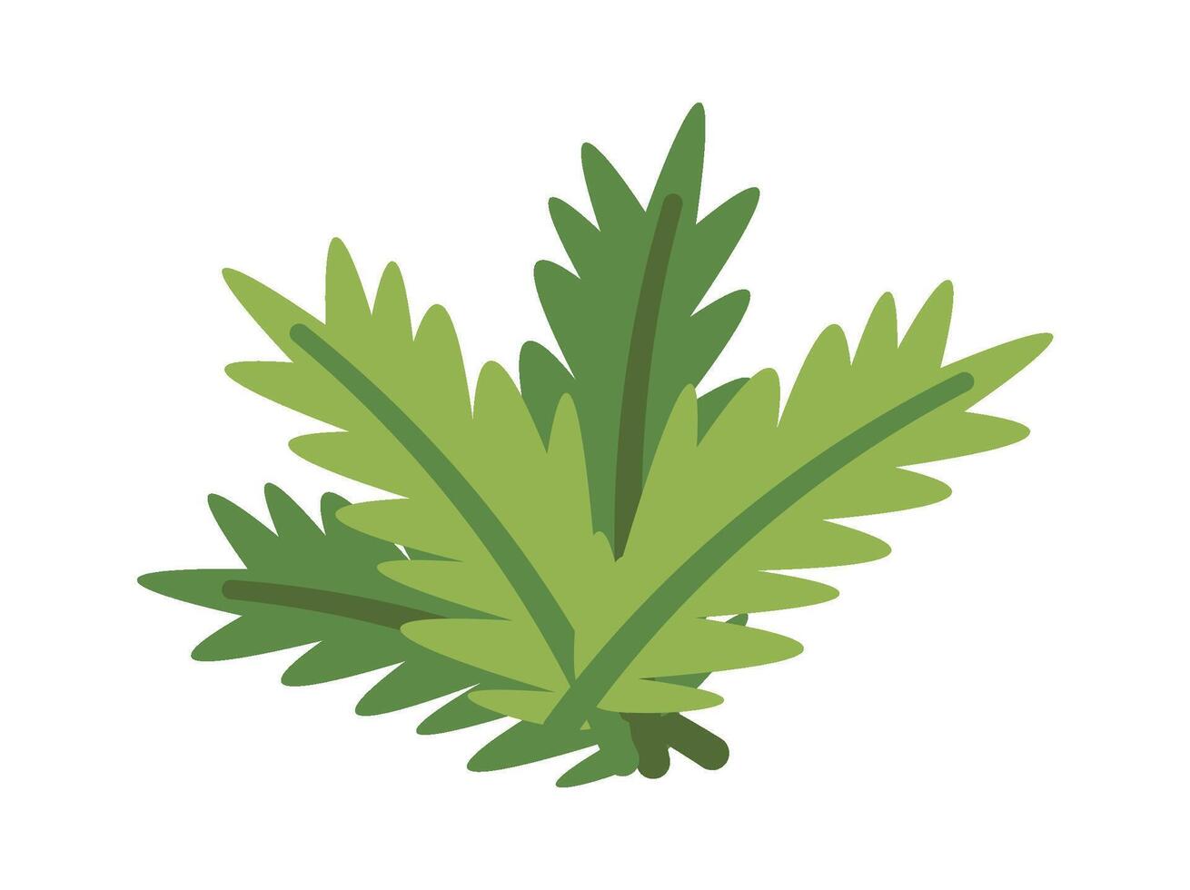 Christmas element flat icon Evergreen conifer branch vector