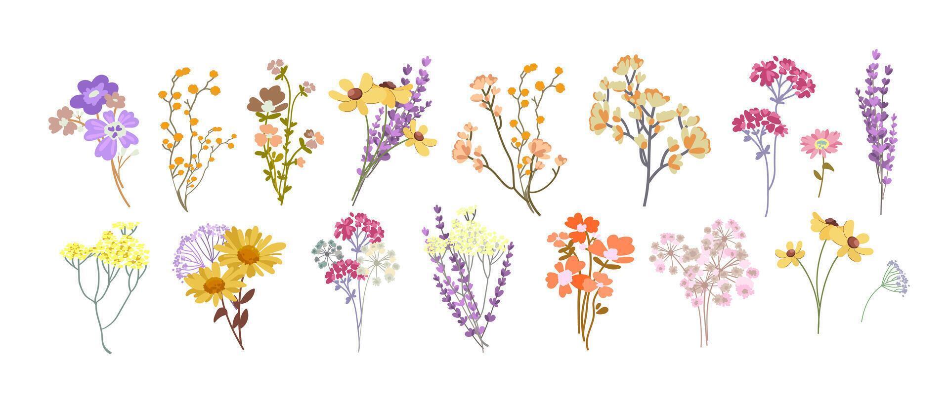 Colorful wildflowers in various arrangements vector