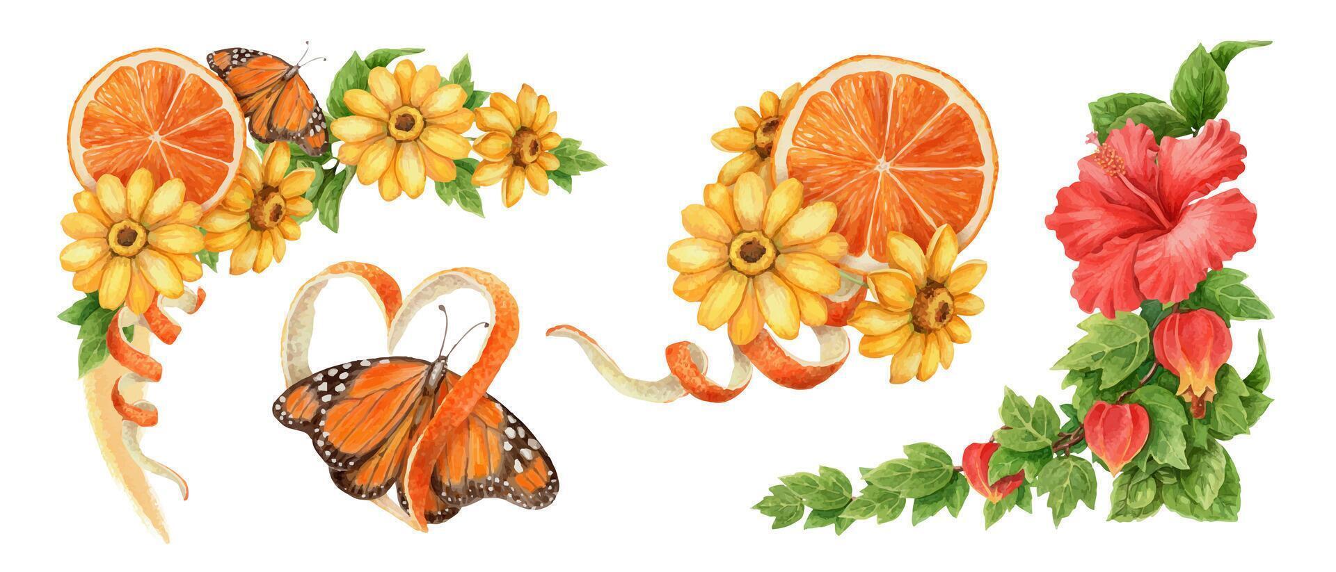 Colorful butterfly and flower illustration vector