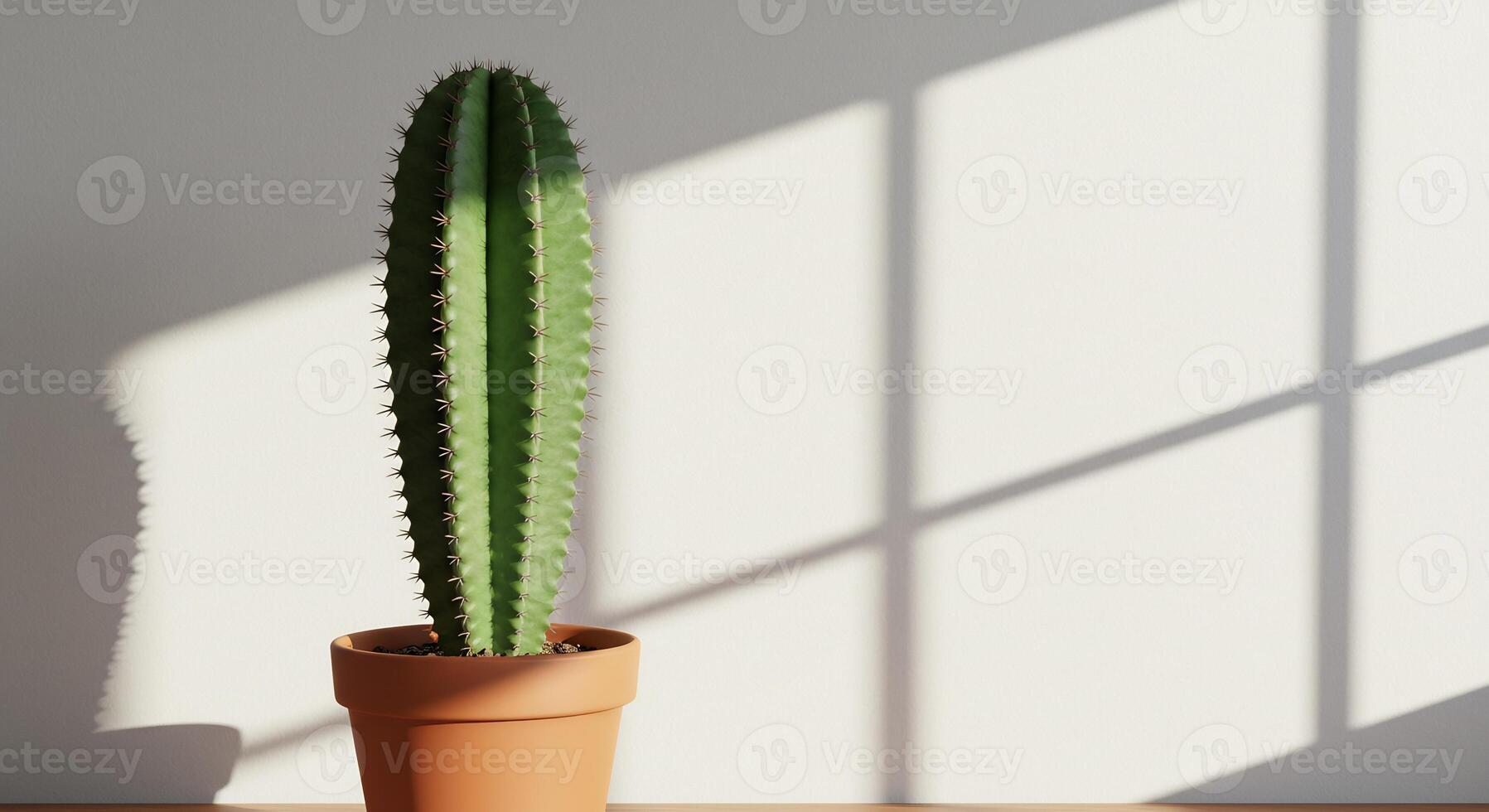 Green cactus plant in a terracotta pot with sunlight shadows on a plain white wall. Minimalist home decor. photo