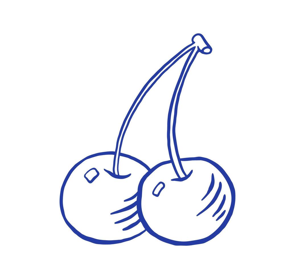 Hand draw cherry illustration. Doodle style. vector