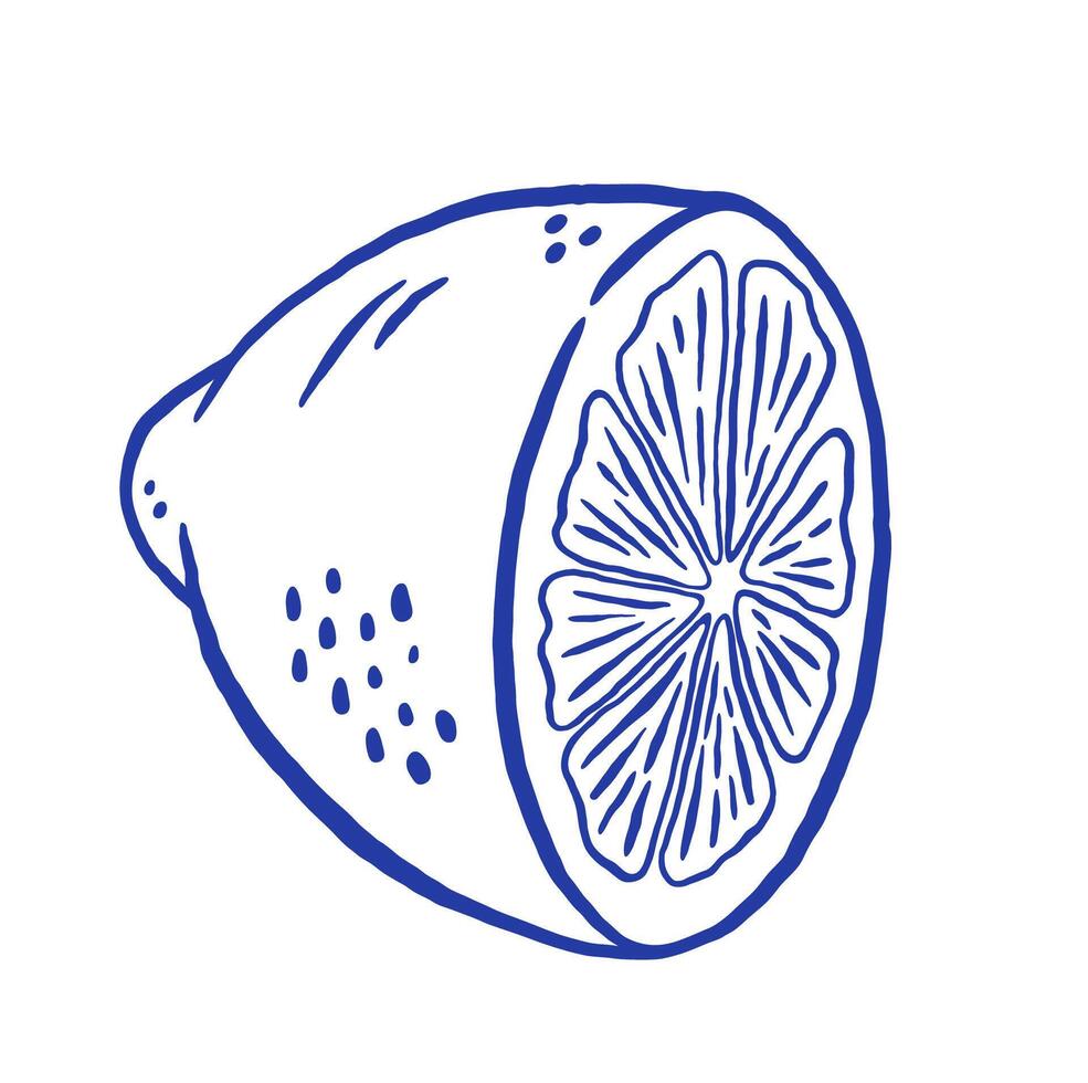 Hand draw lemon illustration. Doodle sliced citrus fruit isolated vector