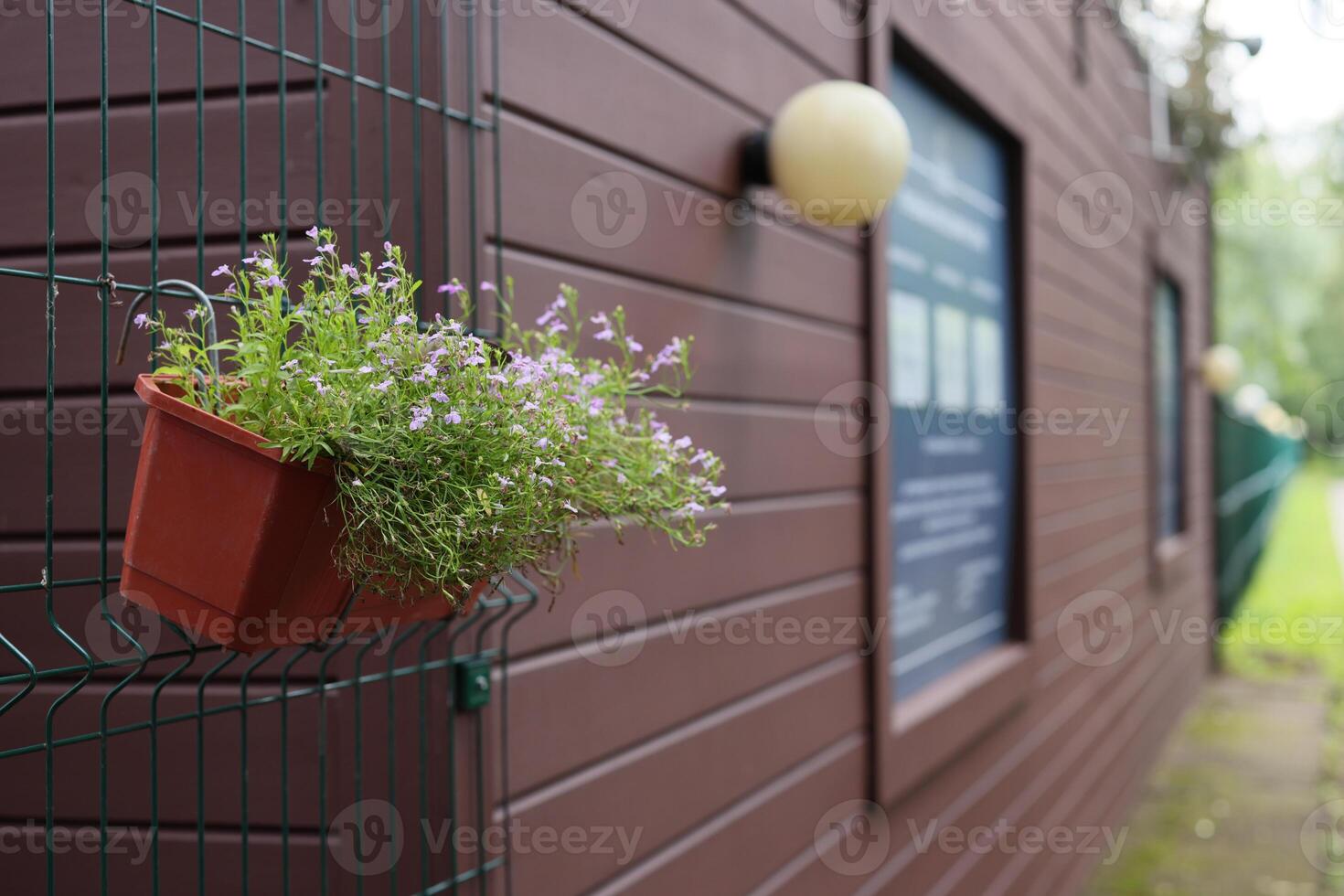 A Charming Outdoor Planter Beautifully Positioned Against a Rustic Wooden Wall Background photo
