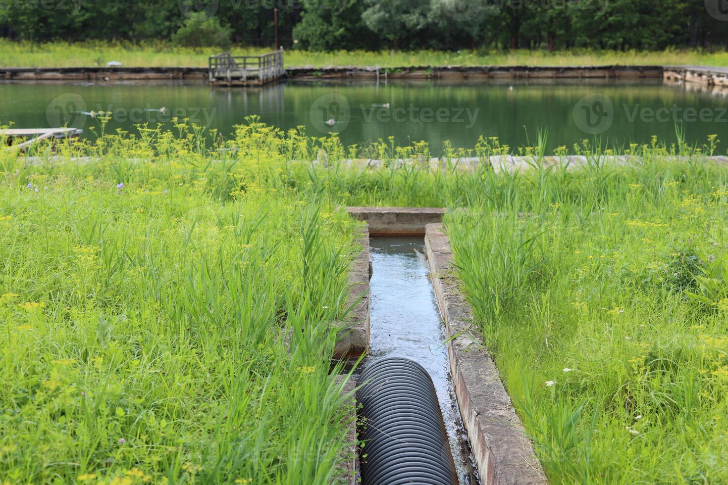 A Serene Water Channel in the Lush Green Surroundings of Natures Beautiful Landscape photo