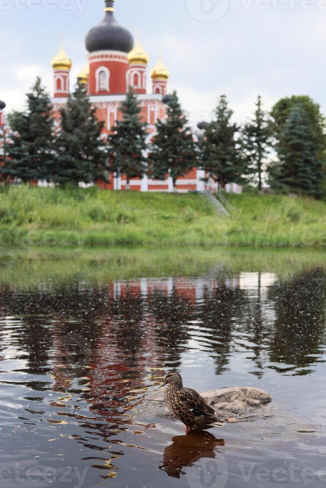 A Beautiful Scenic Reflection of a Historic Church Adjacent to a Serene Waterbody photo