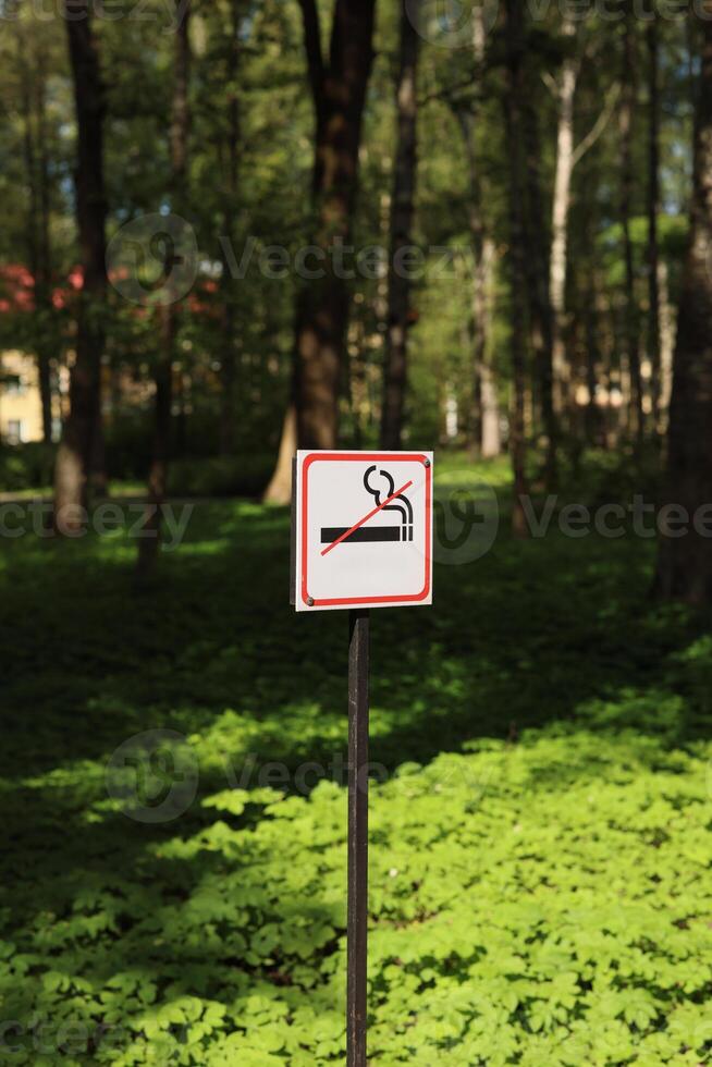 No Smoking Sign That Is Set in a Serene Forest Environment Surrounded by Natures Beauty photo