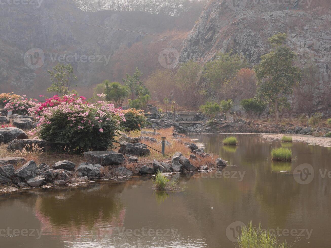 A Serene Landscape Showcasing Reflection in Water Surrounded by Vibrant Bougainvillea Flowers photo