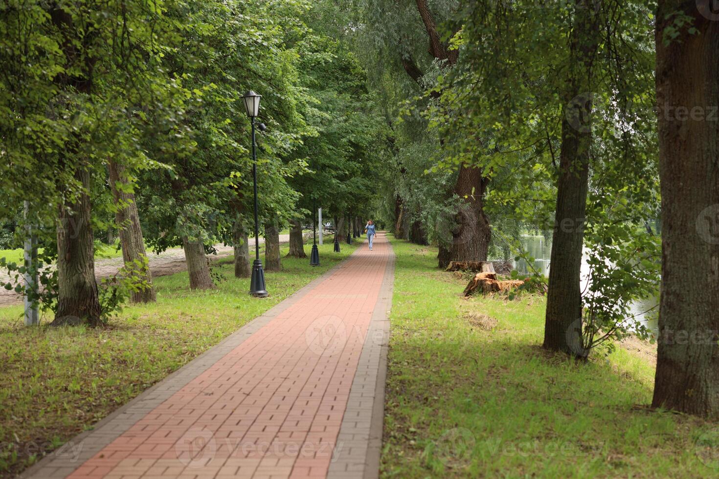 A beautiful and serene treelined pathway situated alongside the tranquil riverbank photo