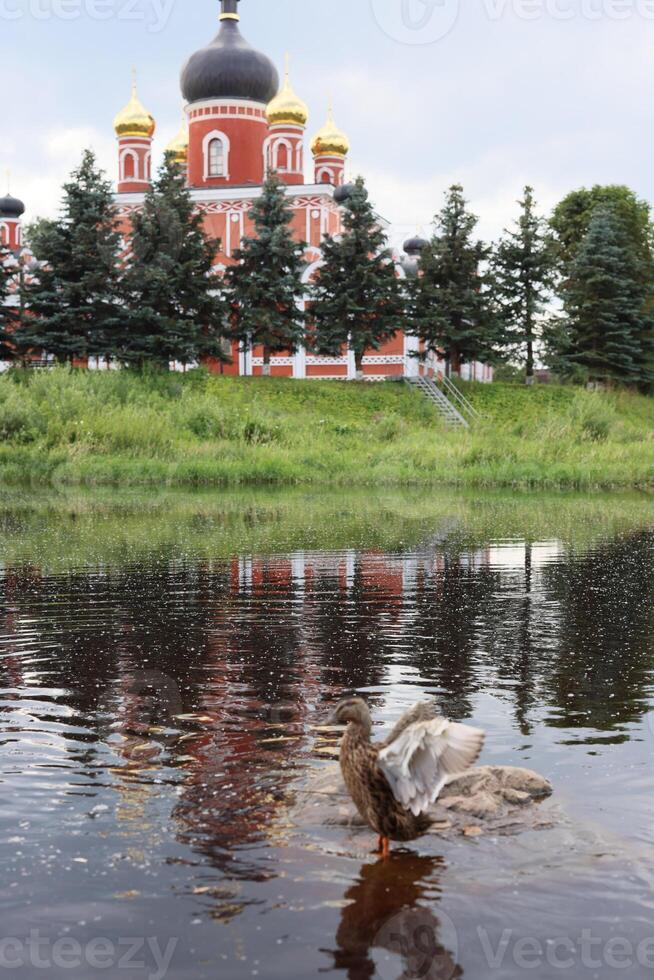 A Quaint and Picturesque River Scene Featuring Ducks and the Reflection of a Historic Church photo