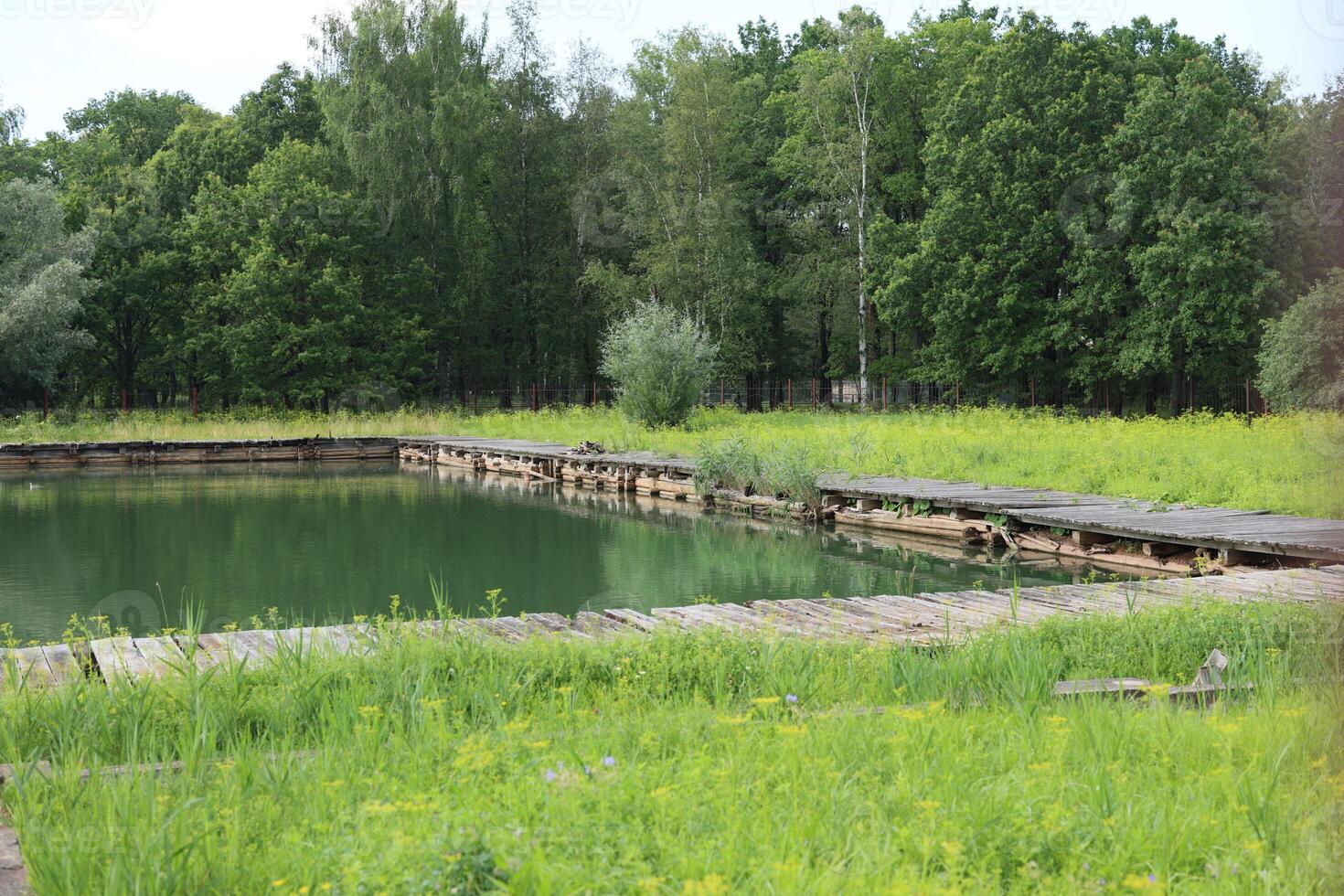 A Serene and Tranquil Abandoned Pool Nestled Deeply Surrounded by Beautiful Nature photo