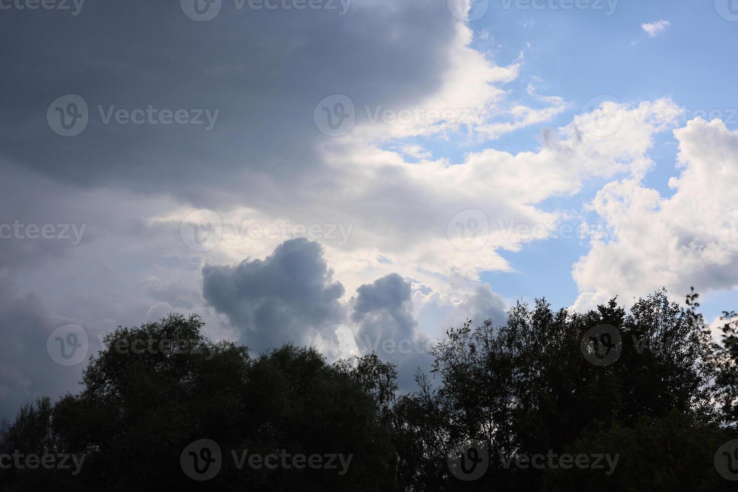 An incredible and dramatic sky showcasing beautiful clouds accompanied by tall trees photo