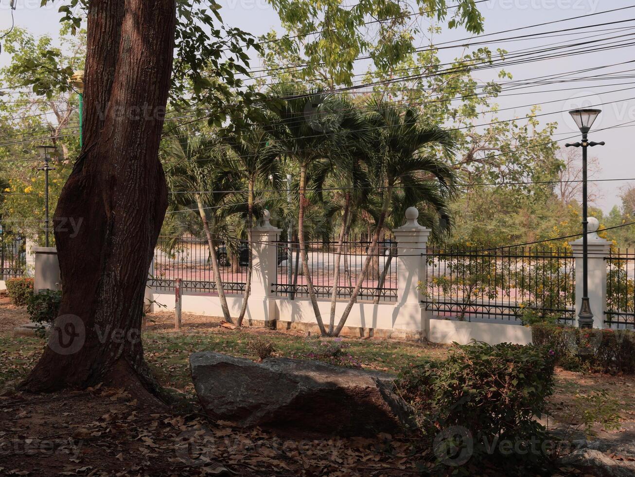 A tranquil park landscape with lush trees and a serene pathway ideal for a calm stroll photo