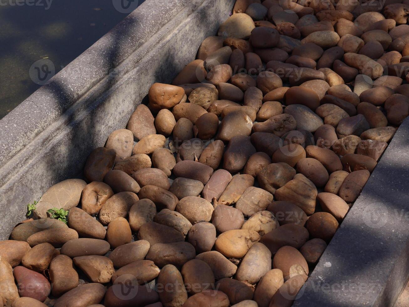 A Tranquil and Serene Pathway Composed of Beautiful Natural River Stones to Explore and Enjoy photo