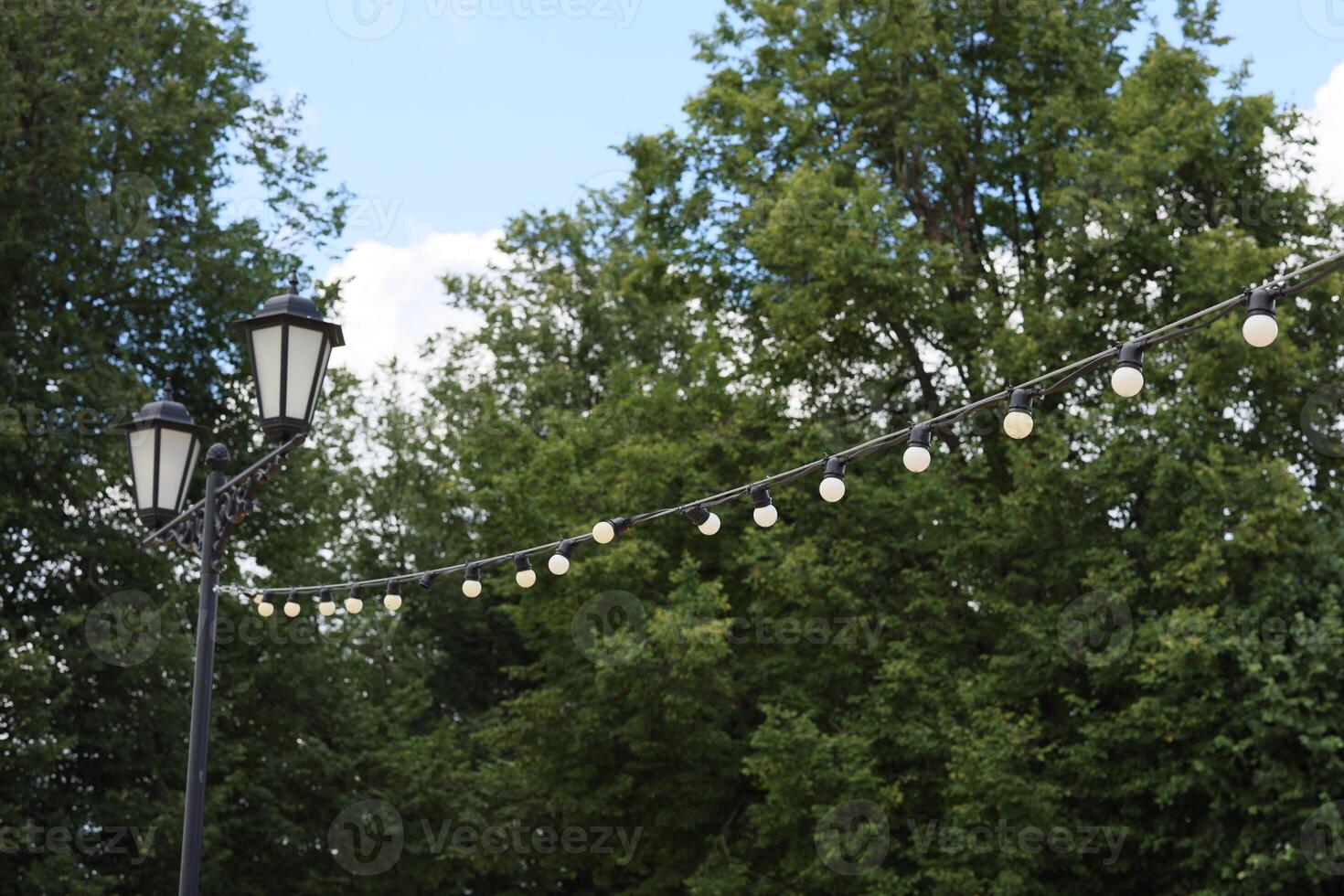 Beautiful and Charming Park, Enhanced by String Lights and Surrounded by Lush Green Trees photo