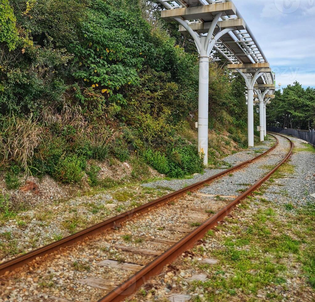 Curving Railroad Tracks Through Greenery with Overhead Structure photo