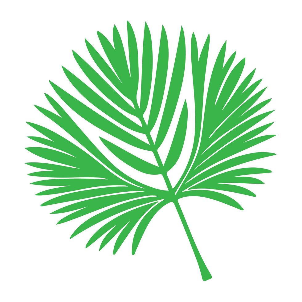 Green palm tree illustration with tropical foliage, perfect for isolated summer nature designs vector