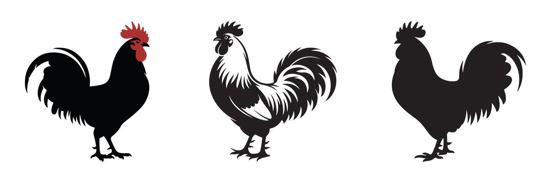 Chicken silhouette set design. vector