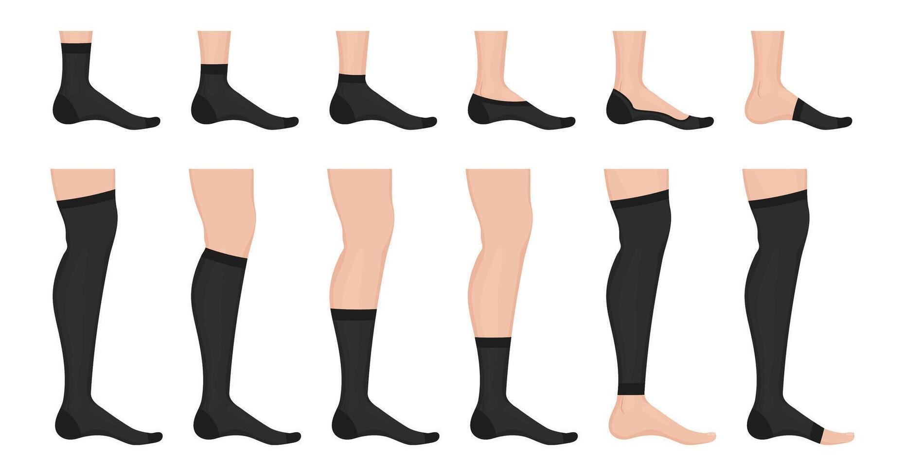Different types of socks showing how they fit on feet and legs vector