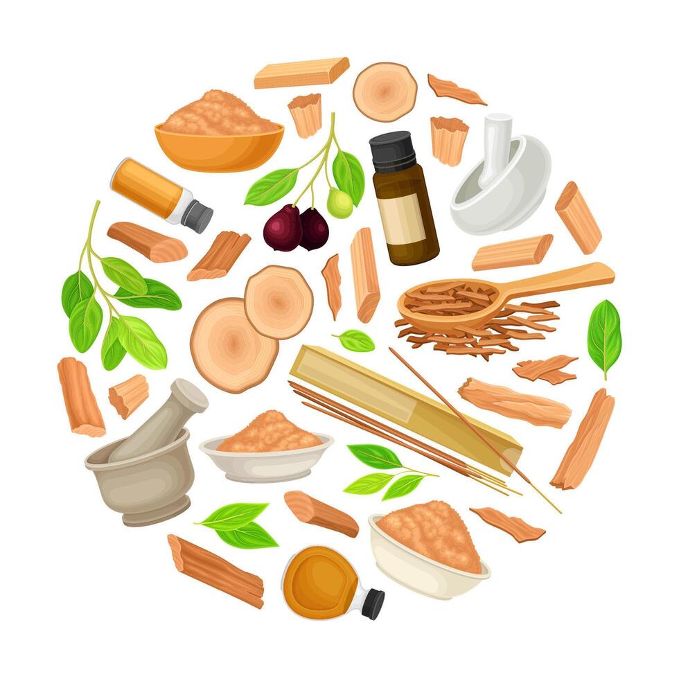 various natural healing ingredients vector