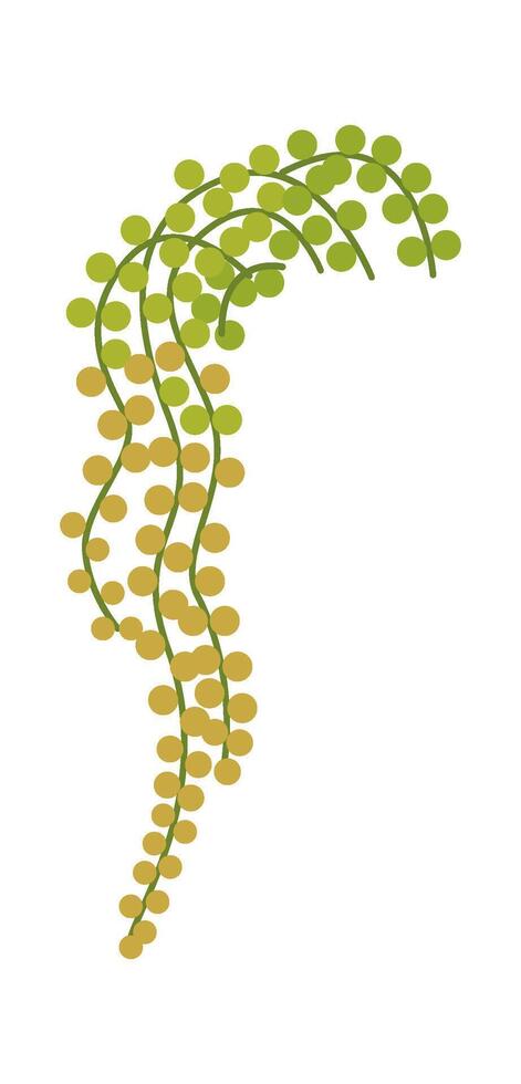 Cute cartoon golden pothos plant flat icon Home gardening vector