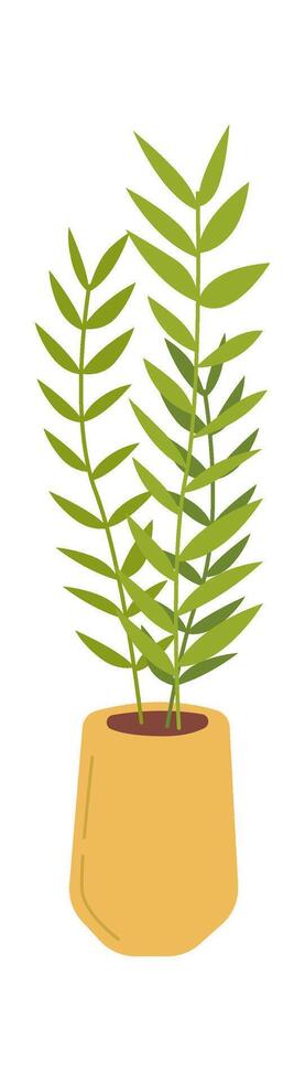 Kentia palm in ceramic pot flat icon Green houseplant vector