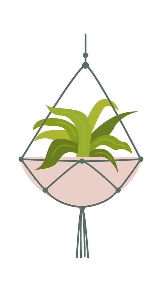 Cast Iron Plant flat icon Green Houseplant in pot vector