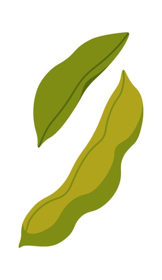 Green soybean plant flat icon Agriculture Green healthy vegetable Flat Illustration vector