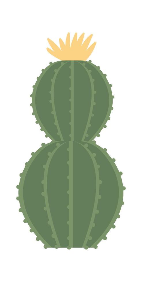 Cactus flat icon Terrarium for plants vector
