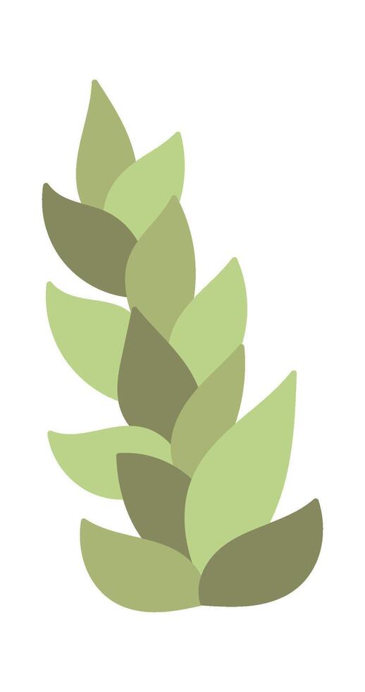 Button ferns plant flat icon Terrarium Decor element vector