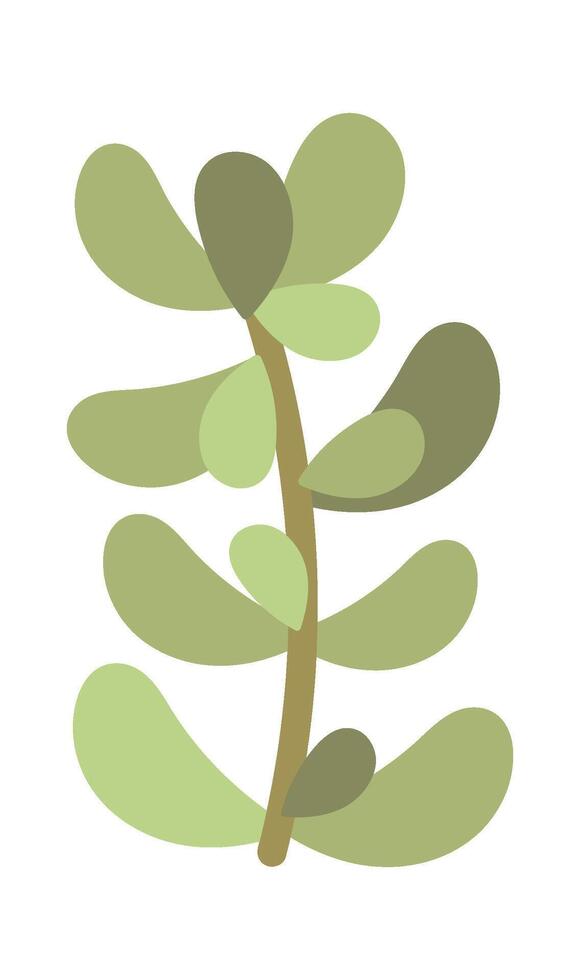 Green evergreen decorative plant flat icon Houseplant vector