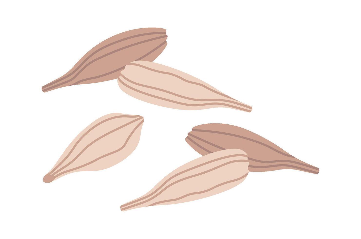 Seeds Cartoon Icon vector