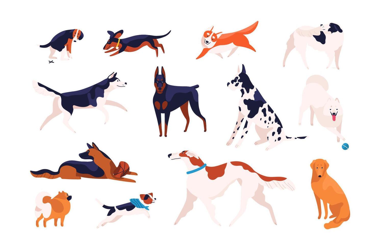 Collection of adorable dogs of different breeds playing, running, walking, sitting, pooping. Bundle of amusing cartoon domestic animals or pets isolated on white background. Flat illustration. vector