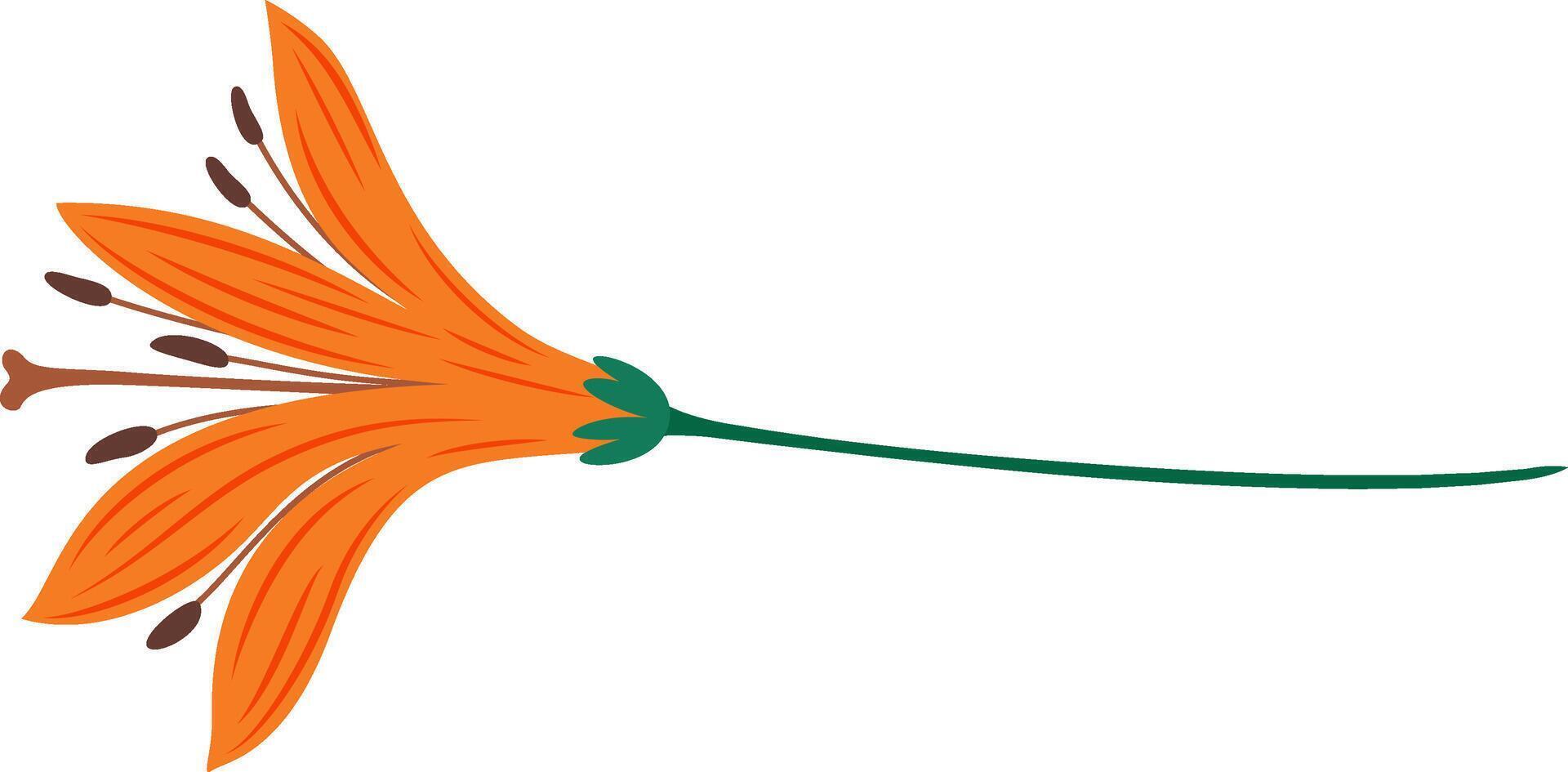 Orange lily flower featuring a long green stem, lying horizontally against a pristine white background, creating a simple yet elegant floral design element perfect for various artistic applications vector