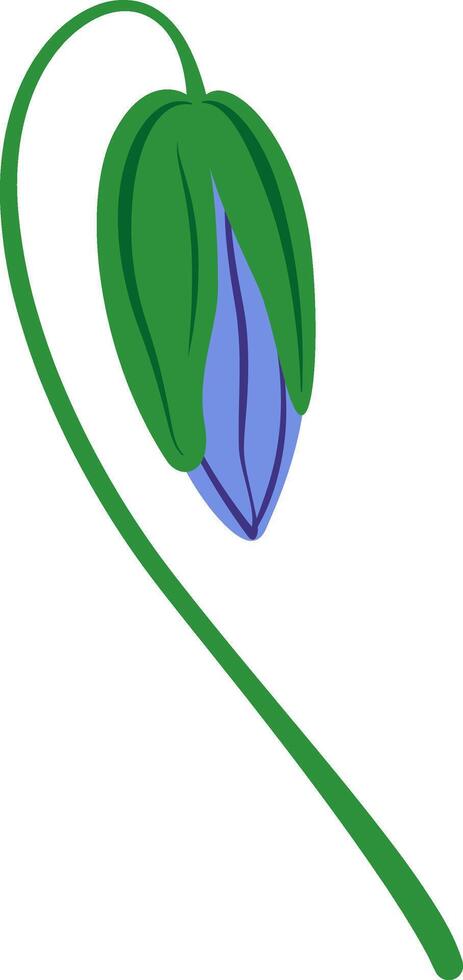 Closed bud of a bluebell flower with a green stem hanging down, isolated against a white background, showcasing a simple, flat illustration that captures nature's elegance vector