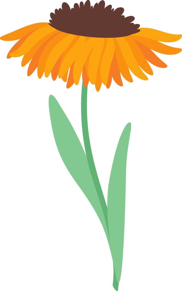 Vibrant orange flower featuring a dark center and lush green leaves, growing gracefully against a white background, creating a simple yet beautiful illustration of nature's elegance vector