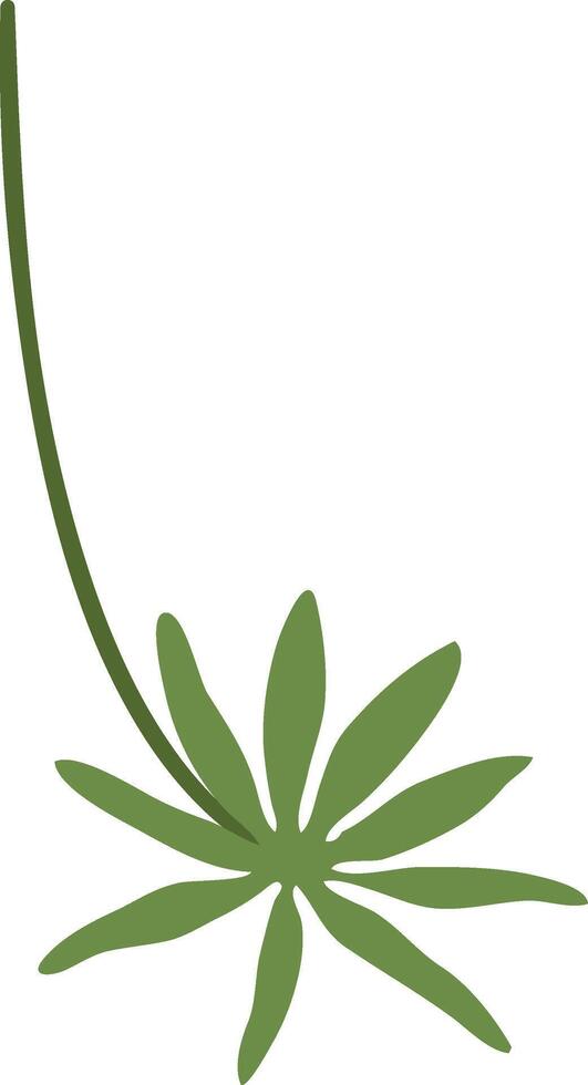 Minimalist graphic featuring a single green tropical leaf gracefully hanging from a slender stem, embodying tranquility and celebrating the beauty of nature's design vector