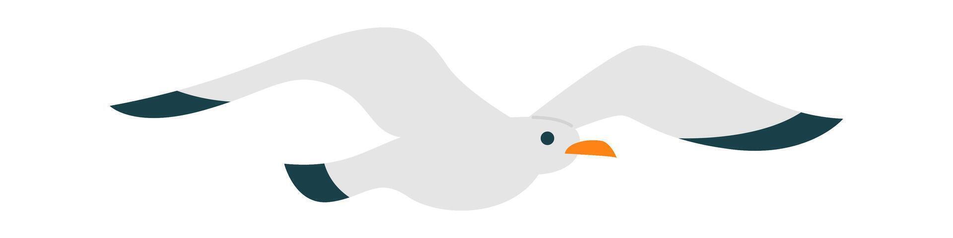 Seagull bird fly flat icon Freedom Open wings Flat Illustration vector