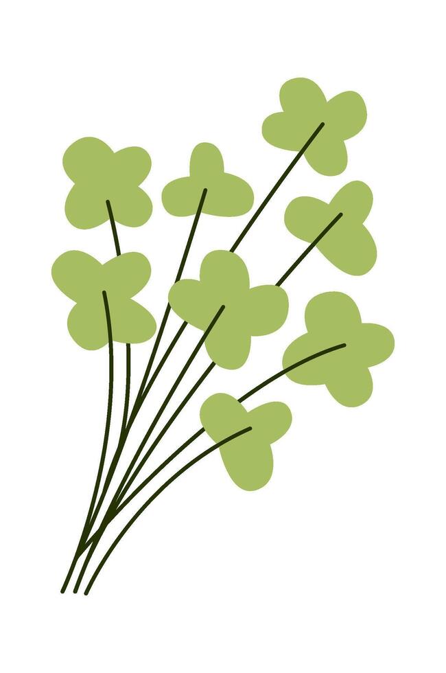 Parsley flat icon Decorative herb with curly leaves vector