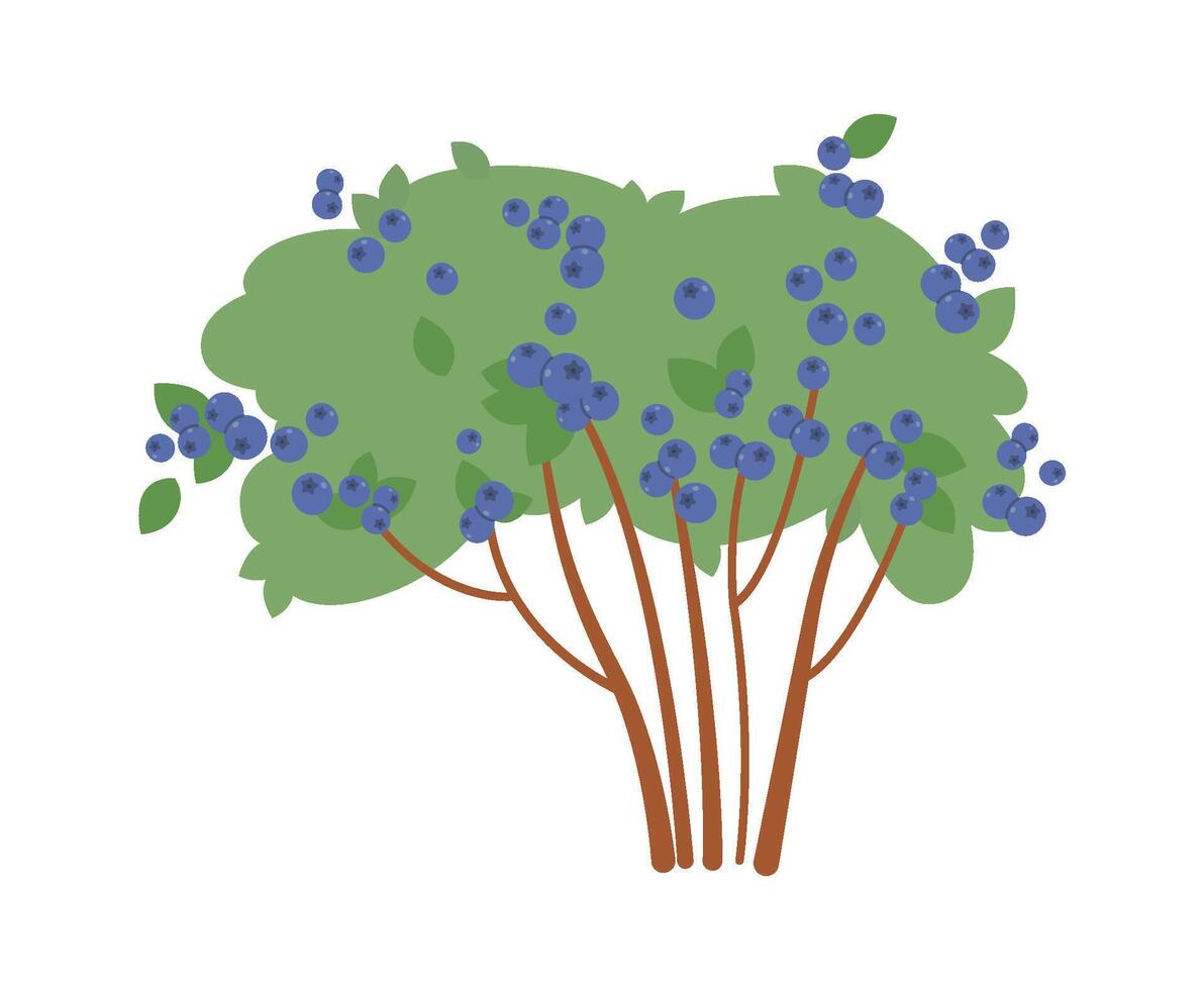 Blueberry bush with tasty fruits flat icon vector