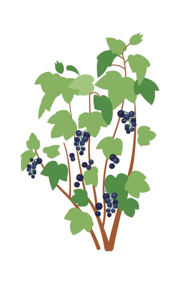 Fresh blackberries on bushes flat icon Agriculture vector