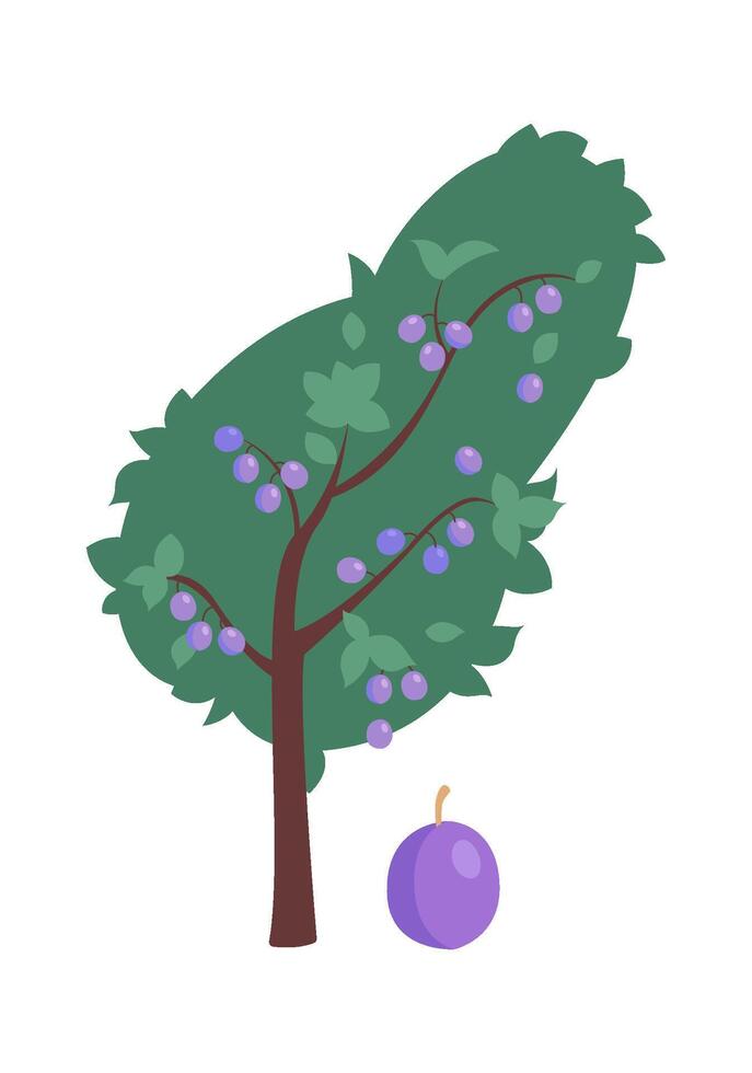 Sweet plum fruit tree flat icon Agriculture and gardening vector