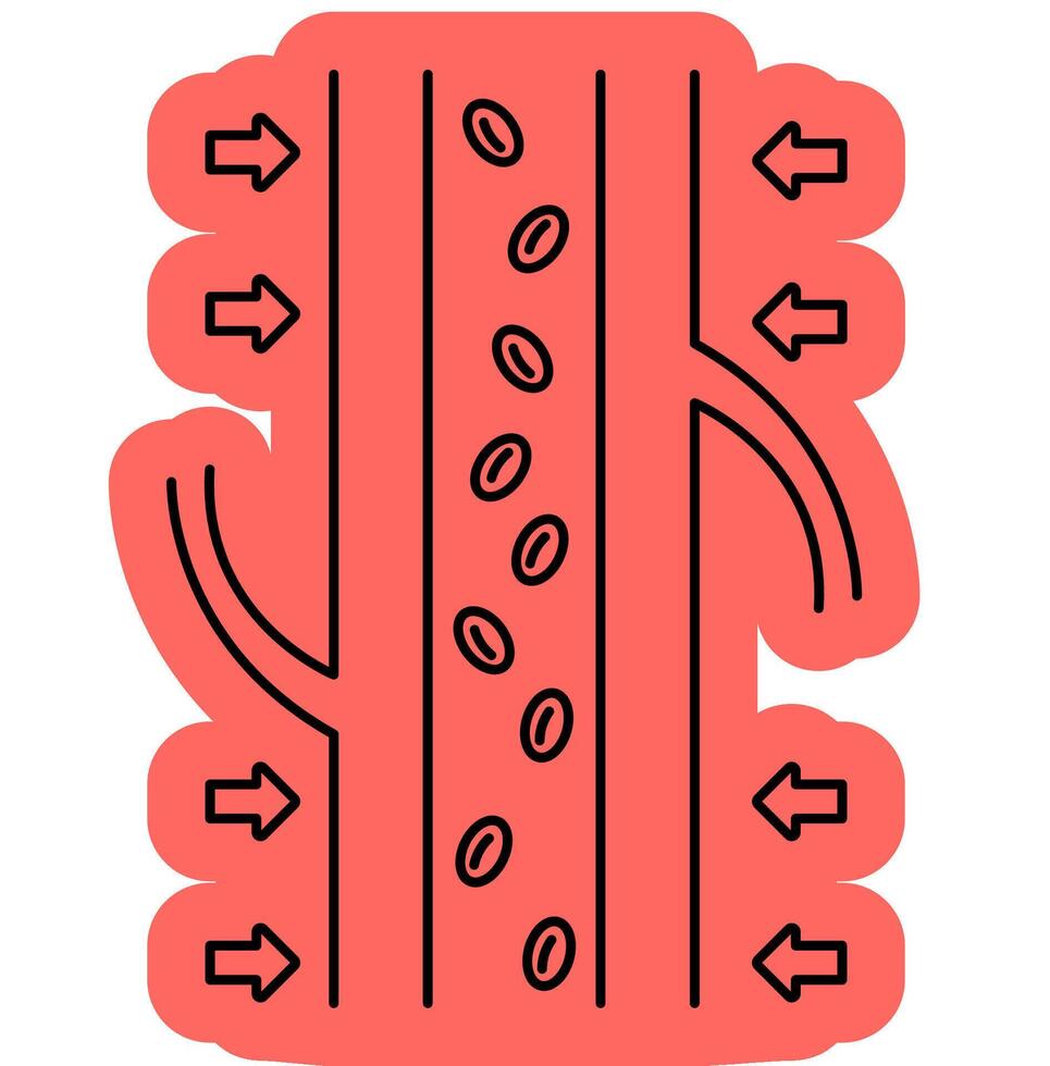Sympathetic Nervous Effect vector