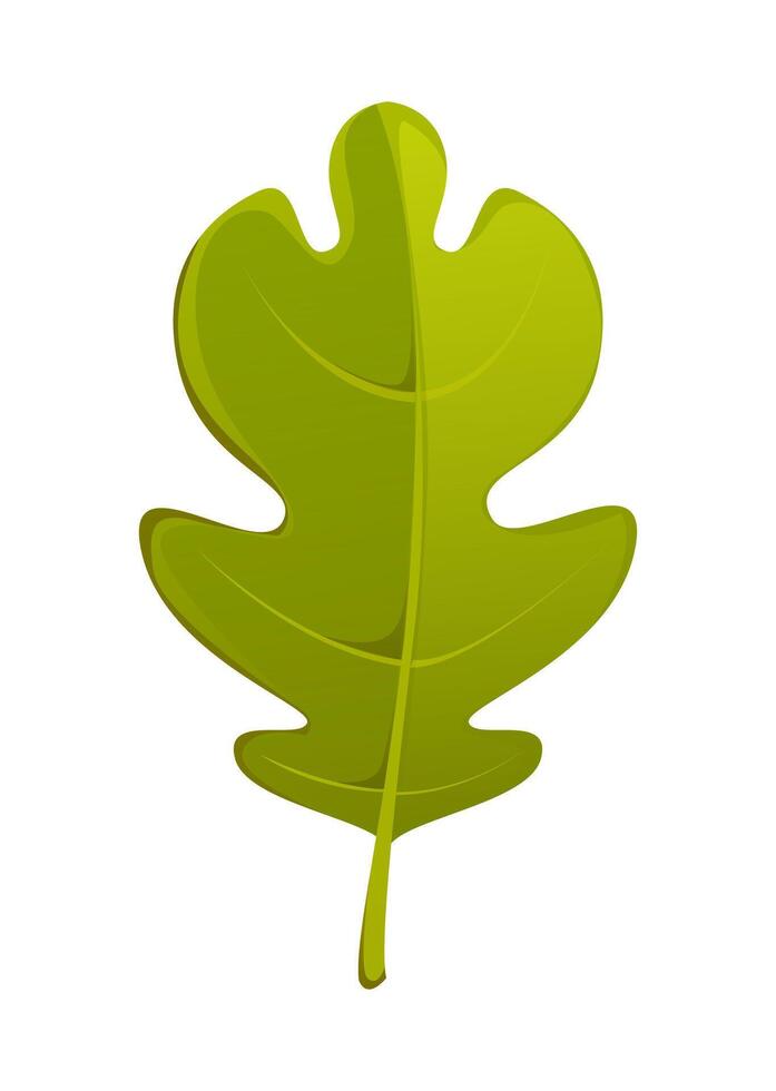Cartoon autumn green oak leaf, foliage vector