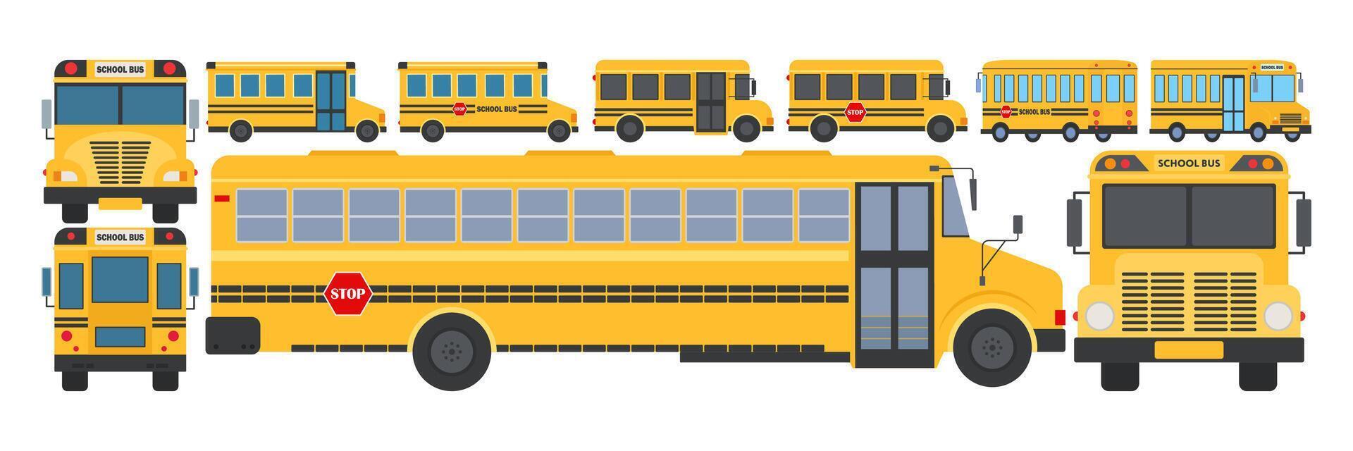 Different styles of yellow school buses vector