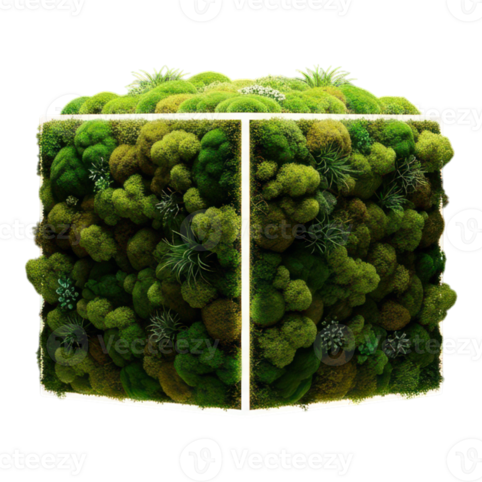 Cube covered in lush green moss isolated on transparent background png
