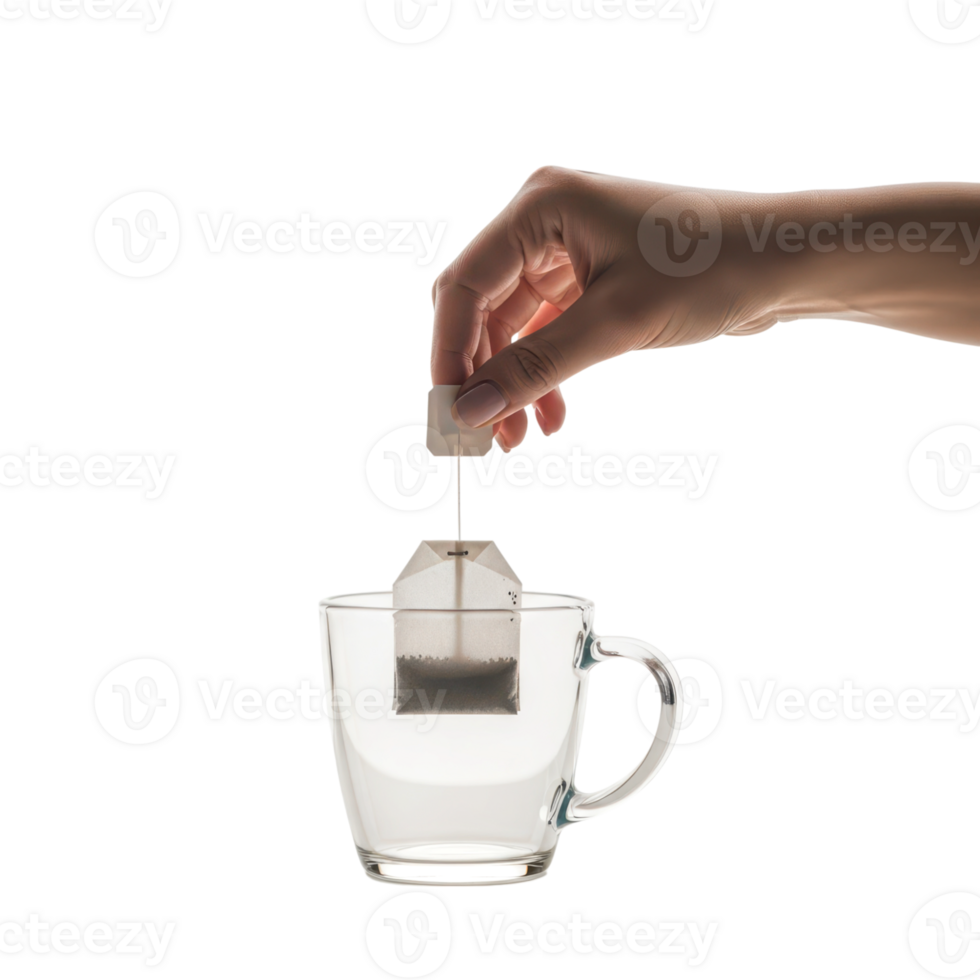 A persons hand lowers a tea bag into a clear glass mug filled with hot water png