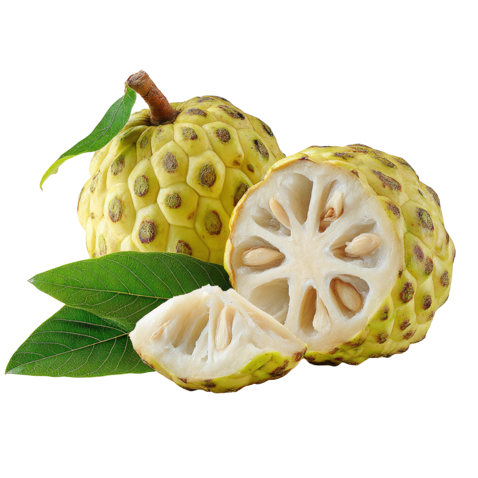 Custard Apple Still Life with Leaves on Transparent Background png