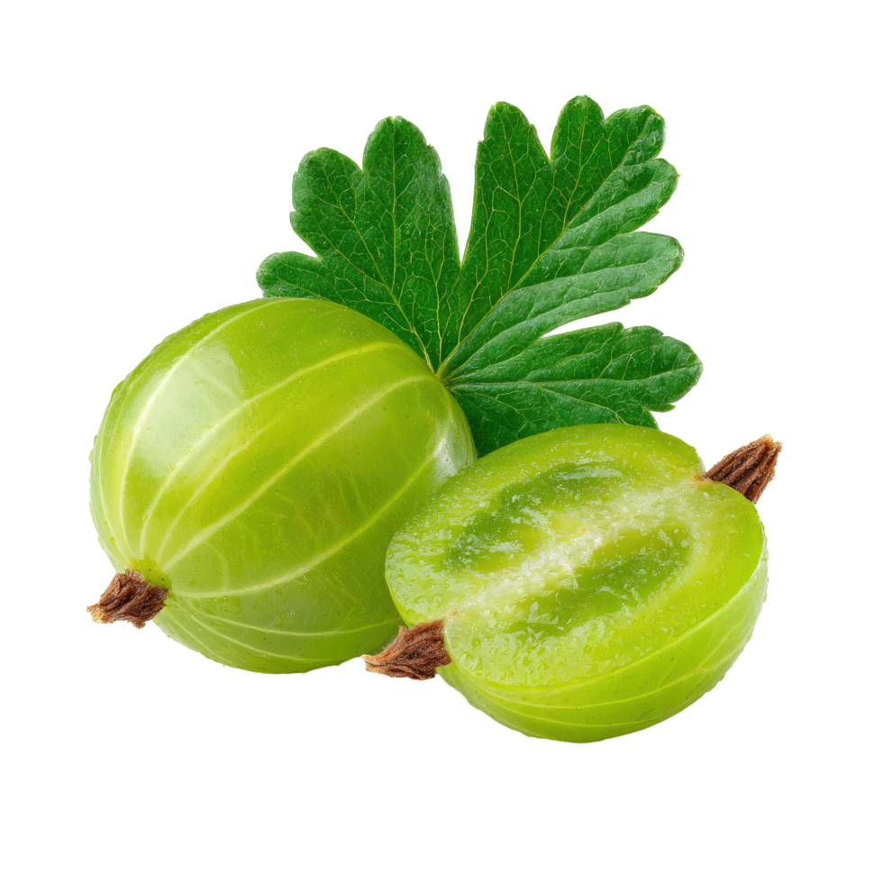 Fresh green gooseberries with leaf png