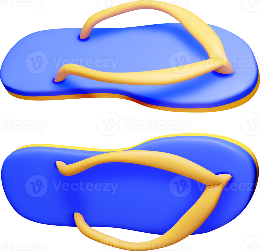 Colorful 3D Flip Flops Displayed from Above png