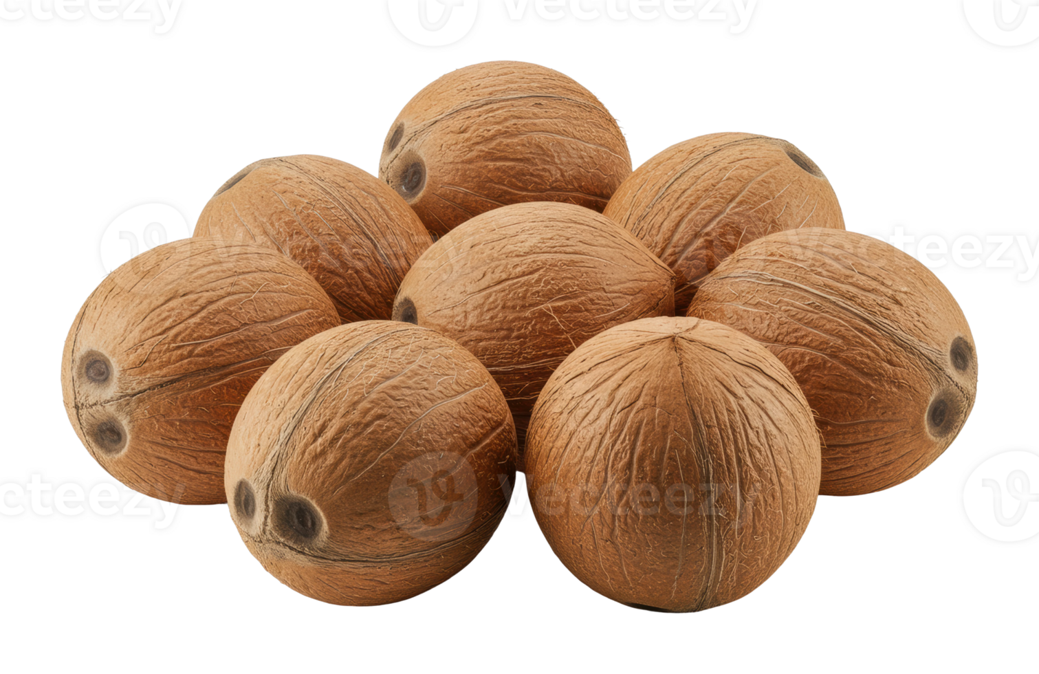 Coconut harvesting event tropical farm food imagery outdoor setting close-up perspective png